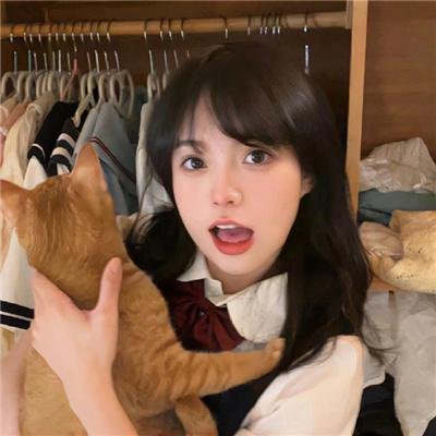 猪猪侠之积木世界的童话